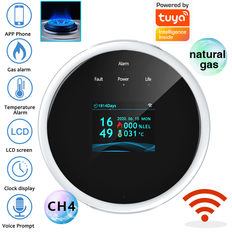 2.4G WiFi Gaz Alarm Sensörü Ya - Smart Home Full System incelemesi ve fiyatı
